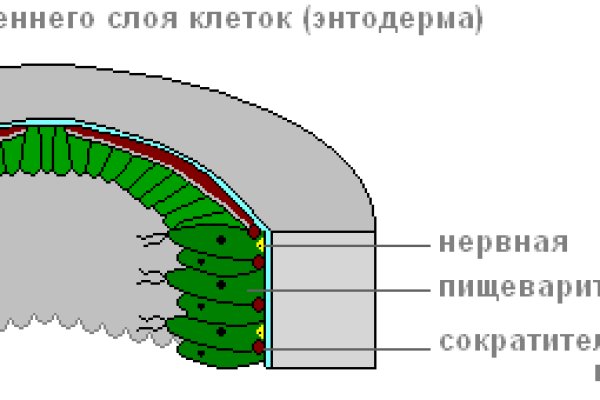 Кракен зеркало на тор